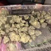 Unconventional grow