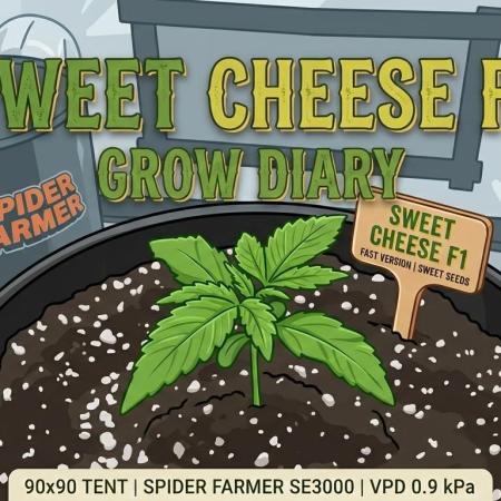 My first indoor grow