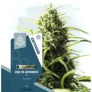 CBD Fix Auto