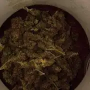 Greasy Monkey Outdoors