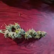 420 Auto