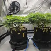 Next Generation Seeds First Contact