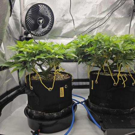 Next Generation Seeds First Contact
