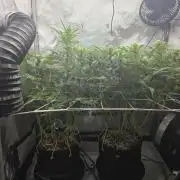 Next Generation Seeds First Contact