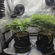 Next Generation Seeds First Contact