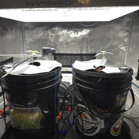 First time with Hydro
