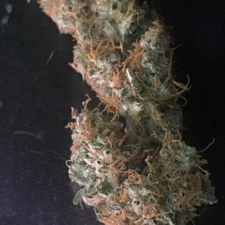 Fastbudz