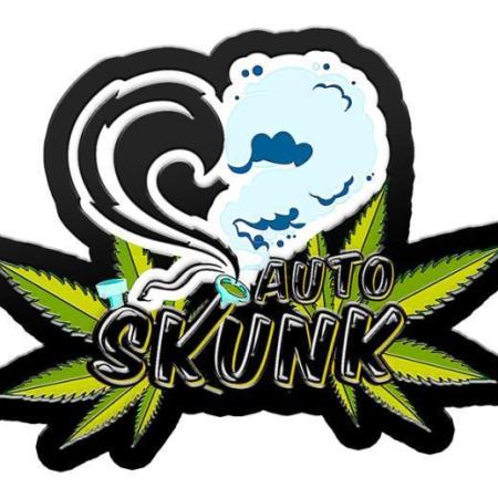 Skunk Auto