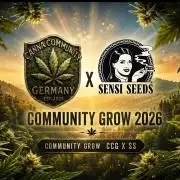 CCG☆Sensi Seeds