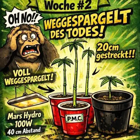 Fünf Finger Blatt PMC