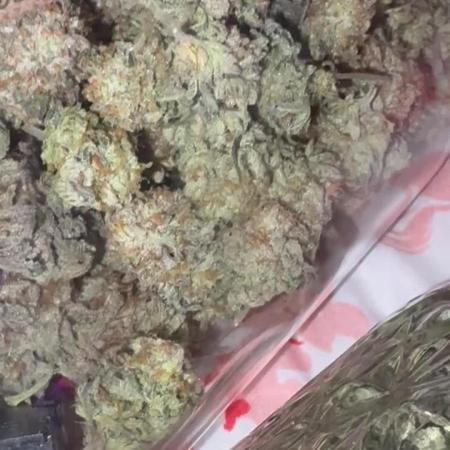 First serious grow as a newbie