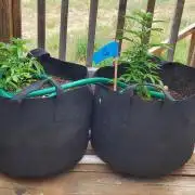 Northern Lights Auto CO outdoor 2026