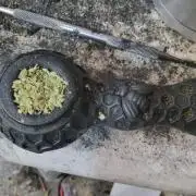 Northern Lights Auto CO outdoor 2026