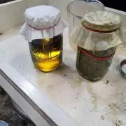 Durban Poison CO grow 2026