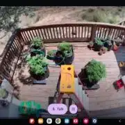 Durban Poison CO grow 2026