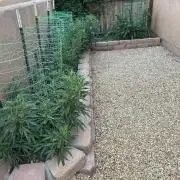 Mixed Organic Photo Outdoor