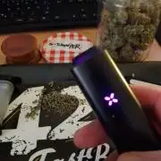 G-Thumper Auto by Good Genetix