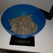 G-Nana Auto by Good Genetix
