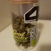 BubbleGum Auto