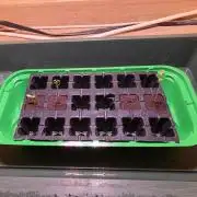 Barneys Farm - Black Cherry Gushers🍒🖤