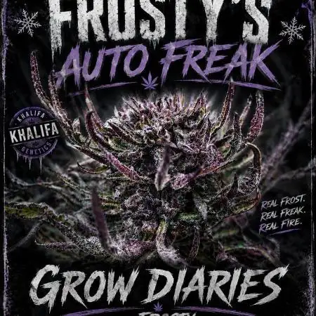 Frosty’s Auto Freak Contest