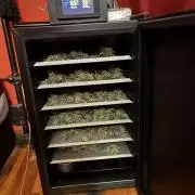 Frostbanger Auto