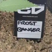 42fastbuds Frostbanger Auto