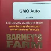 Barney's Farm GMO Auto
