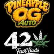 42fastbuds Pineapple OG Auto