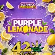 42fastbuds Purple Lemonade Auto