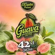 42fastbuds Guava RF3 Auto