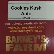Barney's Farm Cookies Kush Auto
