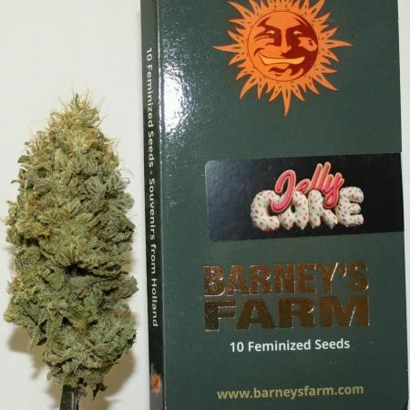 Barney's Farm Jelly Cake