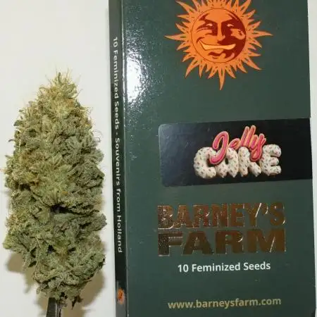 Barney's Farm Jelly Cake