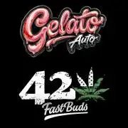 42fastbuds Gelato Auto