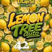 42fastbuds Lemon Tree Auto