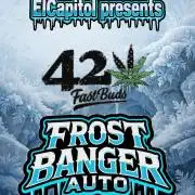 42fastbuds Frostbanger Auto