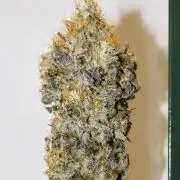Barney's Farm Zillions