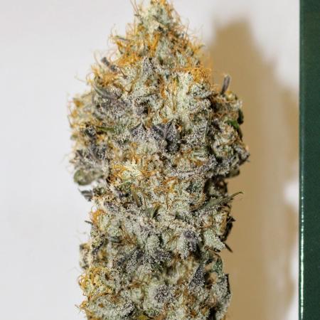 Barney's Farm Zillions