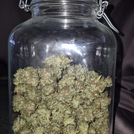 Barney's Skywalker