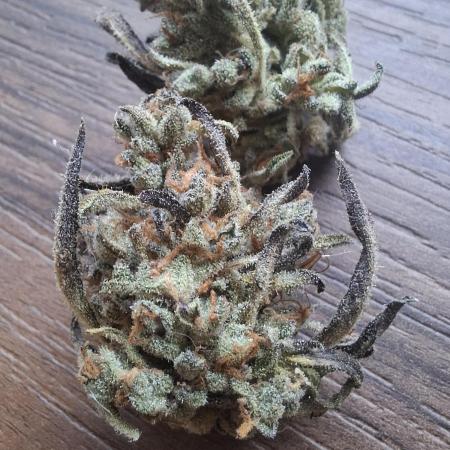 Frosty's Auto Freak