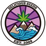 Eleven Roses Auto - Delicious Seeds