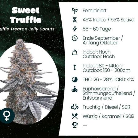 Sweet Truffle by Seed Supplier