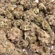 Rainbow Sherbet max out mini tent