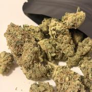 Lemon Haze Living Soil BioTabs