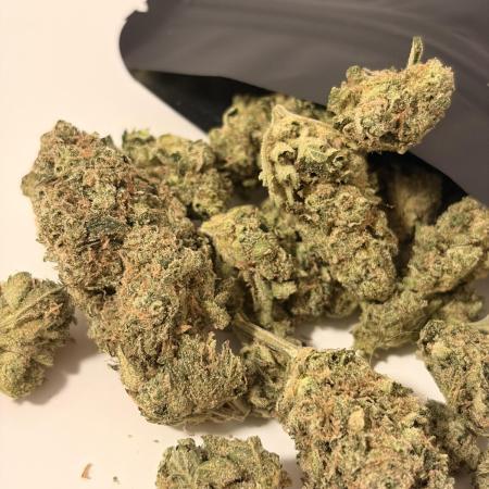 Lemon Haze Living Soil BioTabs