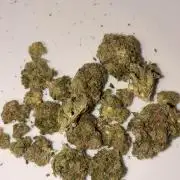 Karels Herer Haze/ AutoPot + Athena