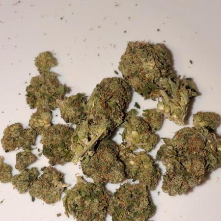 Karels Herer Haze/ AutoPot + Athena