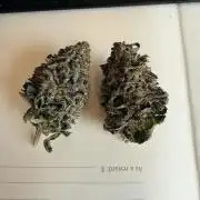 Tangie Photoperiod