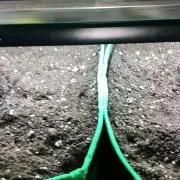 Frosty’s Auto Freak